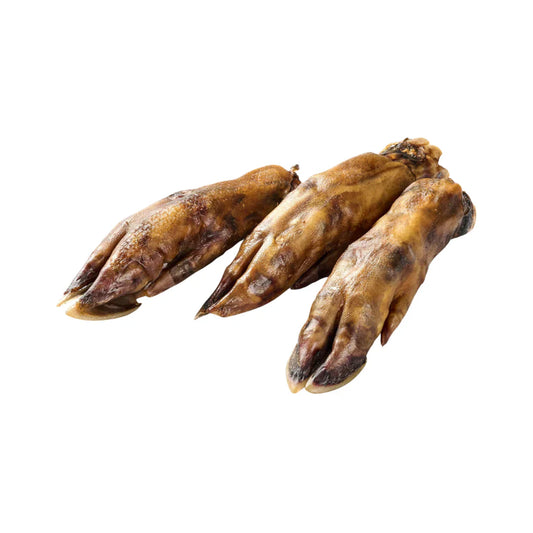 Patte de sanglier pour chien