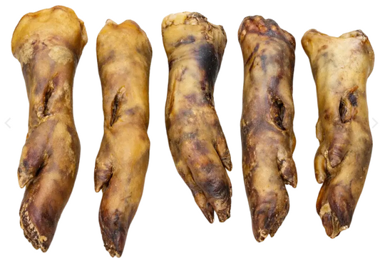 Pied de porc pour chien XL