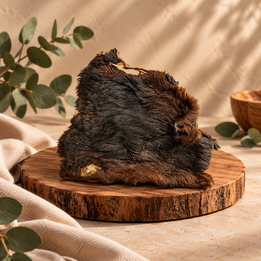 Plaque de peau de bœuf avec poils pour chien