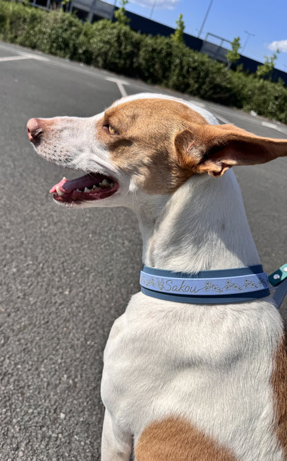 Collier pour chien sur mesure et personnalisable en BIOTHANE Bicolore