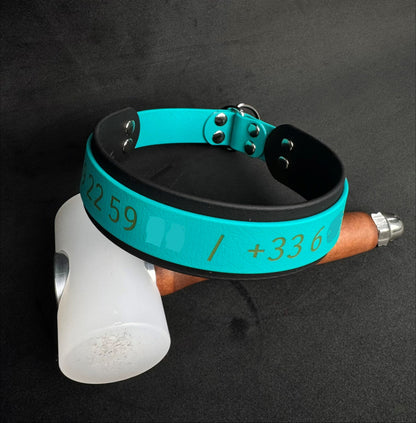 Collier Martingale bicolore en Biothane personnalisé pour chien