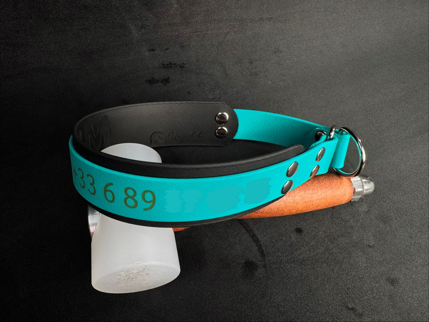 Collier Martingale bicolore en Biothane personnalisé pour chien