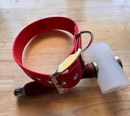 Collier pour chien sur mesure et personnalisable en BIOTHANE Unicolore