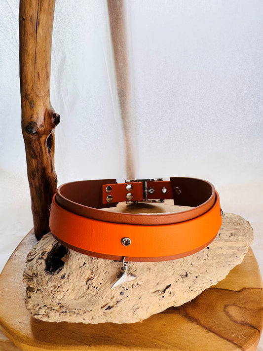 Collier Édition Spéciale “Bijou” en Biothane