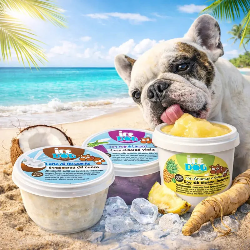 Glace pour chien Ice Dog® - 3 recettes fraîches à préparer