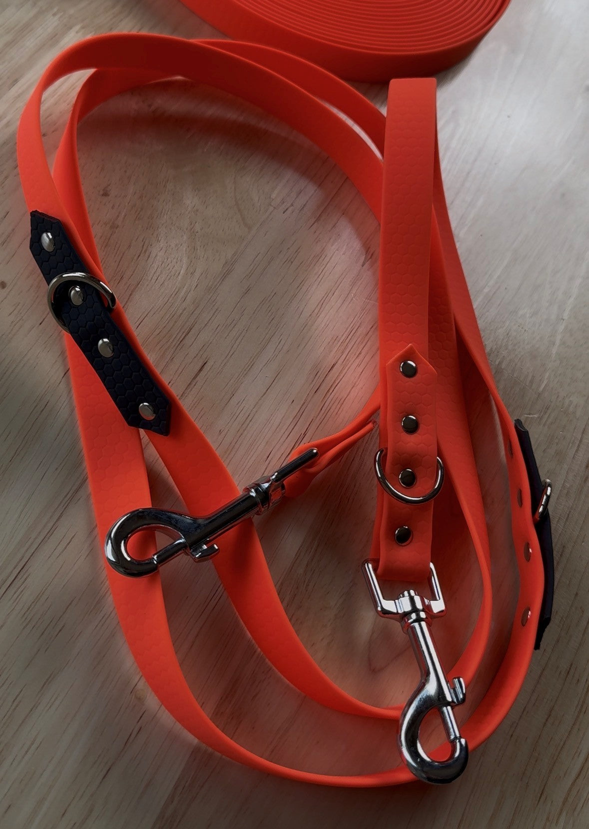 Laisse multipositions pour chien en HEXA personnalisable bicolore
