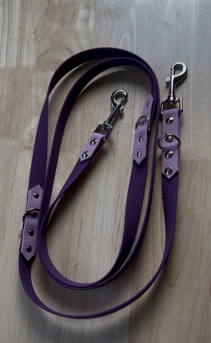 Laisse multipositions pour chien en HEXA personnalisable bicolore