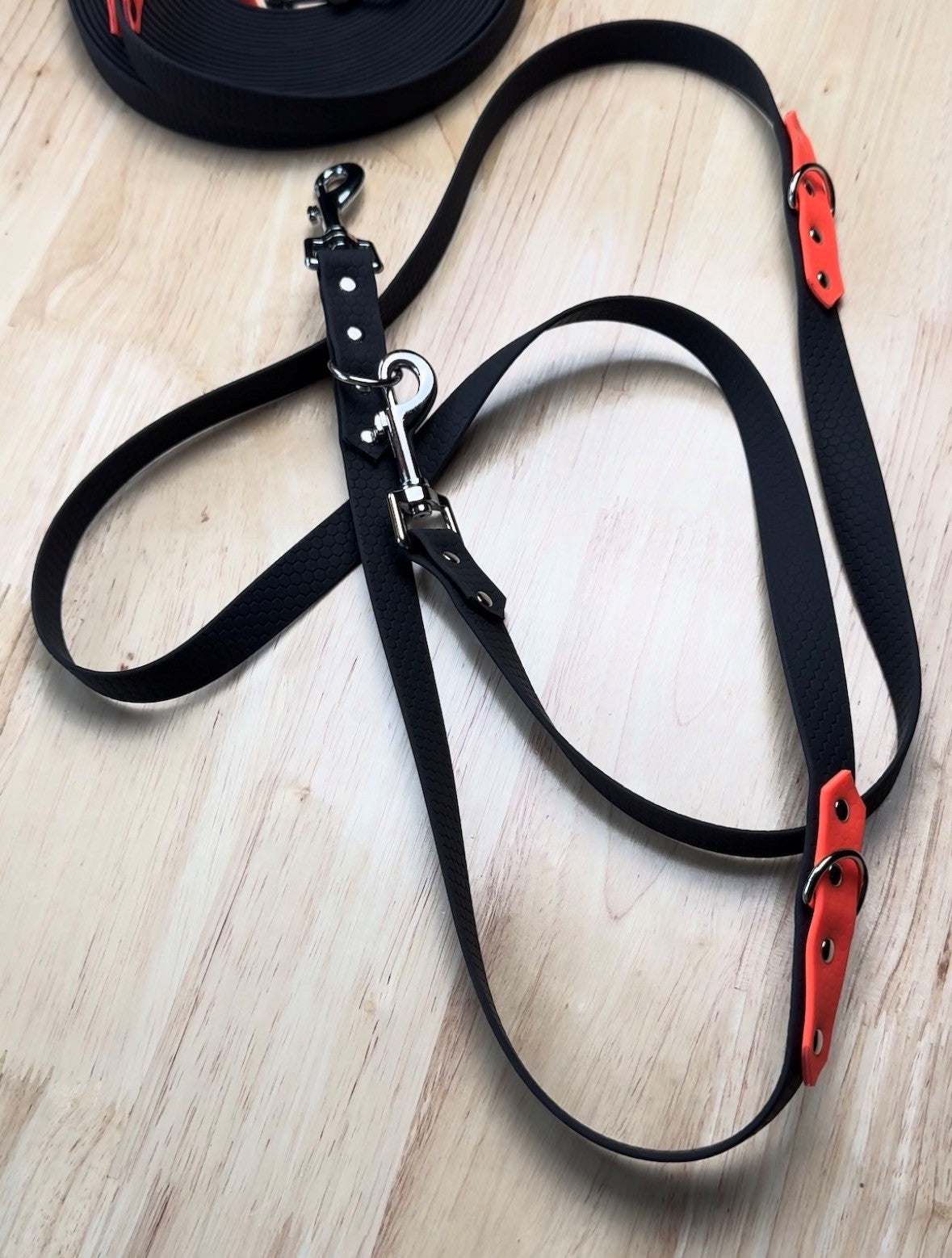 Laisse multipositions pour chien en HEXA personnalisable bicolore