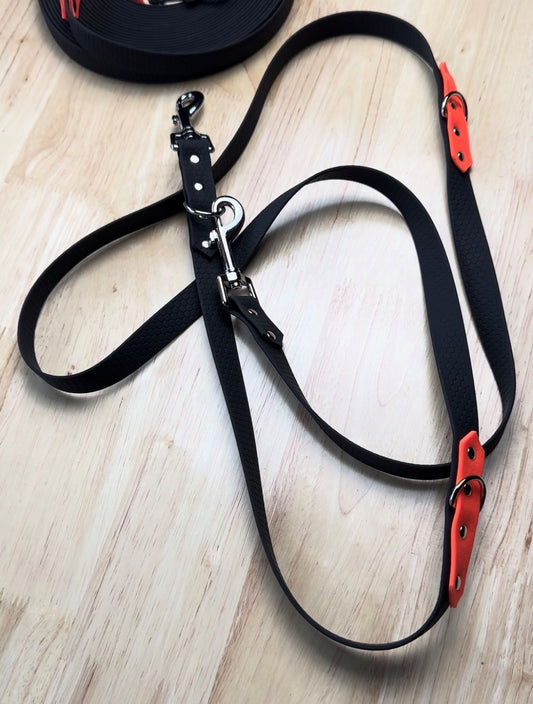 Laisse multipositions pour chien en HEXA personnalisable bicolore
