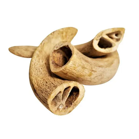 Noyau de corne de buffle pour chien