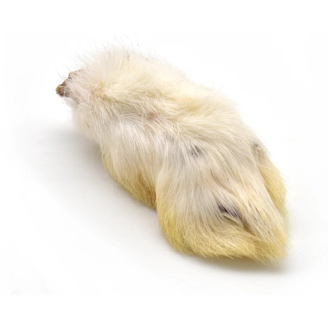 Patte de lapin pour chien