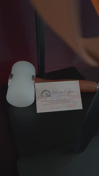 Harnais en H pour chien en BIOTHANE sur mesure et personnalisable bicolore