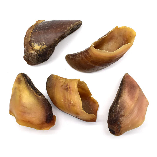 Sabot de veau pour chien
